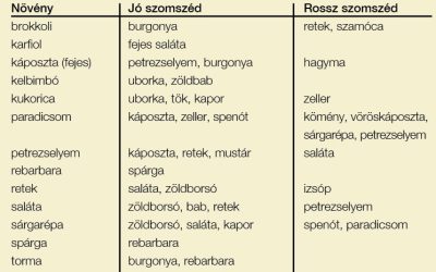Biokert II. – Mit hová ültessünk